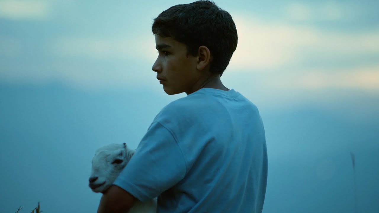 Bayberries Ripen in the Monsoon — Official Trailer