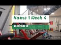 DVTV: Block 8 Hams 1 Wk 4