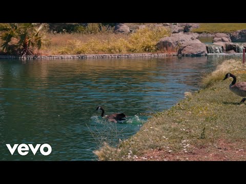 Dboi LTD - My Life (Official Video)