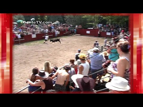 Clips do passado Picnic & Festa Brava de Gente da Nossa - June23-21 - #5