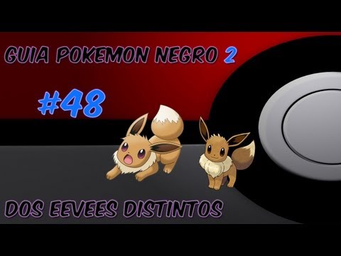 Guia pokemon Negro 2 Ep. 48 - "Dos Eevees distintos"