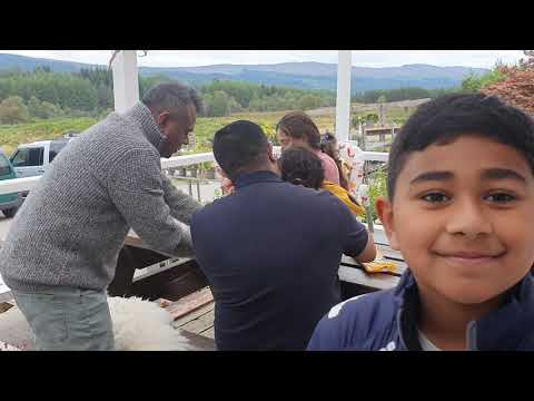 Episode 1 Good Life with Angelo jaggy thistle food stop