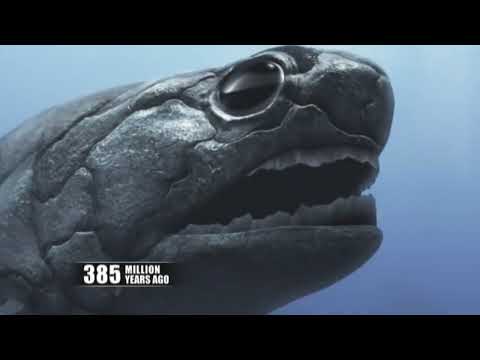 Curiosity   Mankind Rising   The Story Of Life