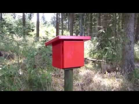 Sonderstempelstelle Harzer Naturistenstieg Wippra - Harzer Wandernadel