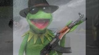 los lagartos thc seneca torombolo