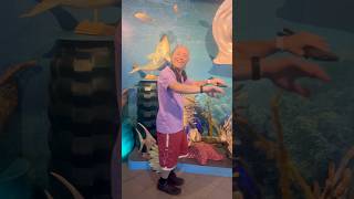 Download lagu Under the sea mp3 Download lagu Under the sea mp3