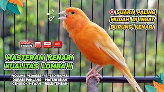 Download lagu Kenari GACOR NGEREK‼️ Masteran Kenari PAUD dan Pancingan Kenari MACET BUNYI dan Betina NGIWIR - 137 mp3 Download lagu Kenari GACOR NGEREK‼️ Masteran Kenari PAUD dan Pancingan Kenari MACET BUNYI dan Betina NGIWIR - 137 mp3