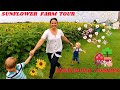 The Most Breathtaking Sunflower Farm Tour EVER You HAVE To See This Sam And Louis