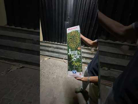Vanitha Fireworks Jungle Party Sky shot🎇🎆| #fireworks #diwali #crackers #best #celebration