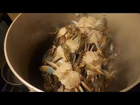 Tutorial cleaned Blue Crabs pre steamed and stored in freezer for later eating 😋 when ready