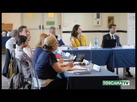 2017-05-22 FIRENZE - AL MEYER NASCE RETE PEDIATRI EUROPEI