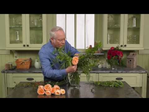 "Fun with Flowers and J": Princess Japanese Garden Rose Collection from Alexandra Farms