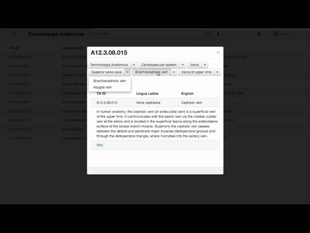 Video Pronunciation of cephal in English Video Pronunciation of cephal in English