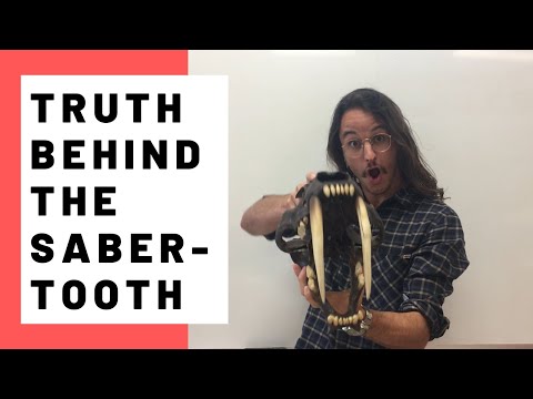 The Truth Behind the Sabertooth