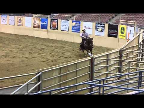 Todd Crawford NRCHA SBF