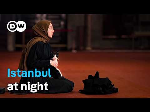 Istanbul: A Journey Through the Megacity