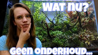 Ik word GEOPEREERD... Wat NU met de AQUARIA? //Nickey//