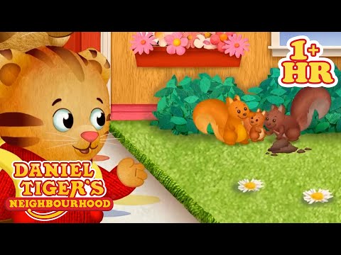 Let's Learn About Animals | Daniel Tiger