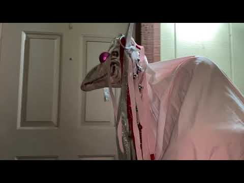 Mari Lwyd - 6th Time