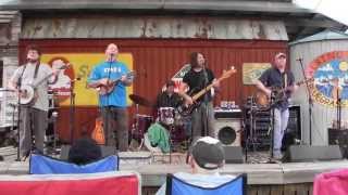 The Gourds at Albino Skunk 2011 -- #2    Lament