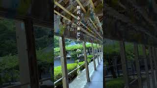 のにのに　っていう曲です。　 #おすすめ  #邦ロック #恋愛 #エモ動画 #オリジナル曲