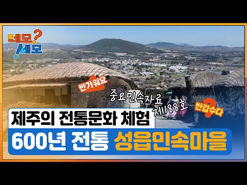 [네모세모] 제주도 어디까지 즐겨봤수깡?