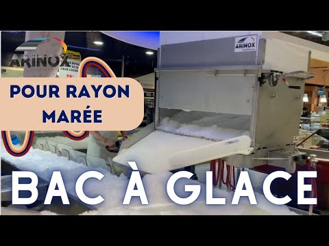 Bac à glace ergonomique pour rayon marée et criée