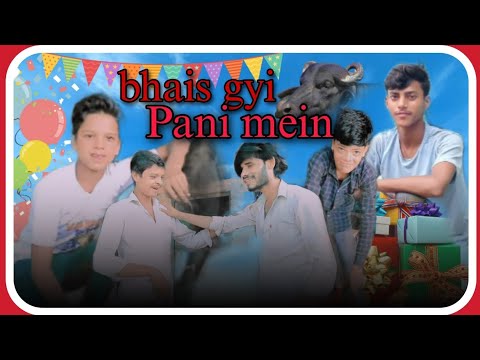 भैंस गई पानी में ll Harvesh Ankit comedy ll New comedy 2023 ll Pushpendra jiten Akhlesh