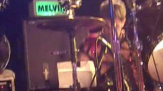 Melvins - Let It All Be & My Generation