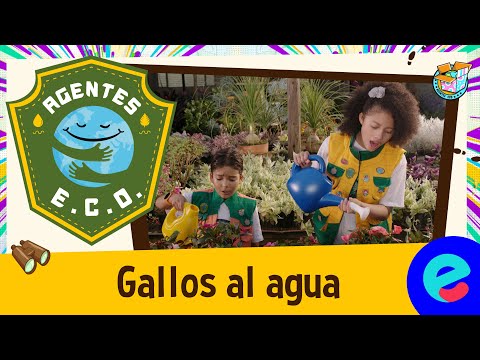 Gallos al agua | Agentes E.C.O. | Capítulo 3