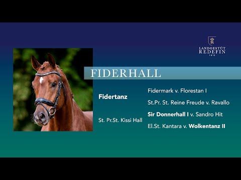 Fiderhall v. Fidertanz - Sir Donnerhall, Oldenburger, Hengst,  gekört, * 2019