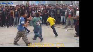 MU330 - Diddgits (Mosh Pit)