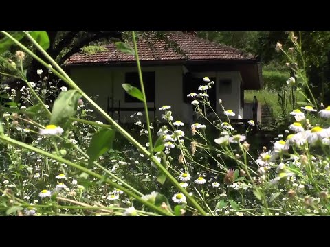 Petina, selo u kome se Milan Martić skrivao četiri godine: Sećanje na tihog komšiju