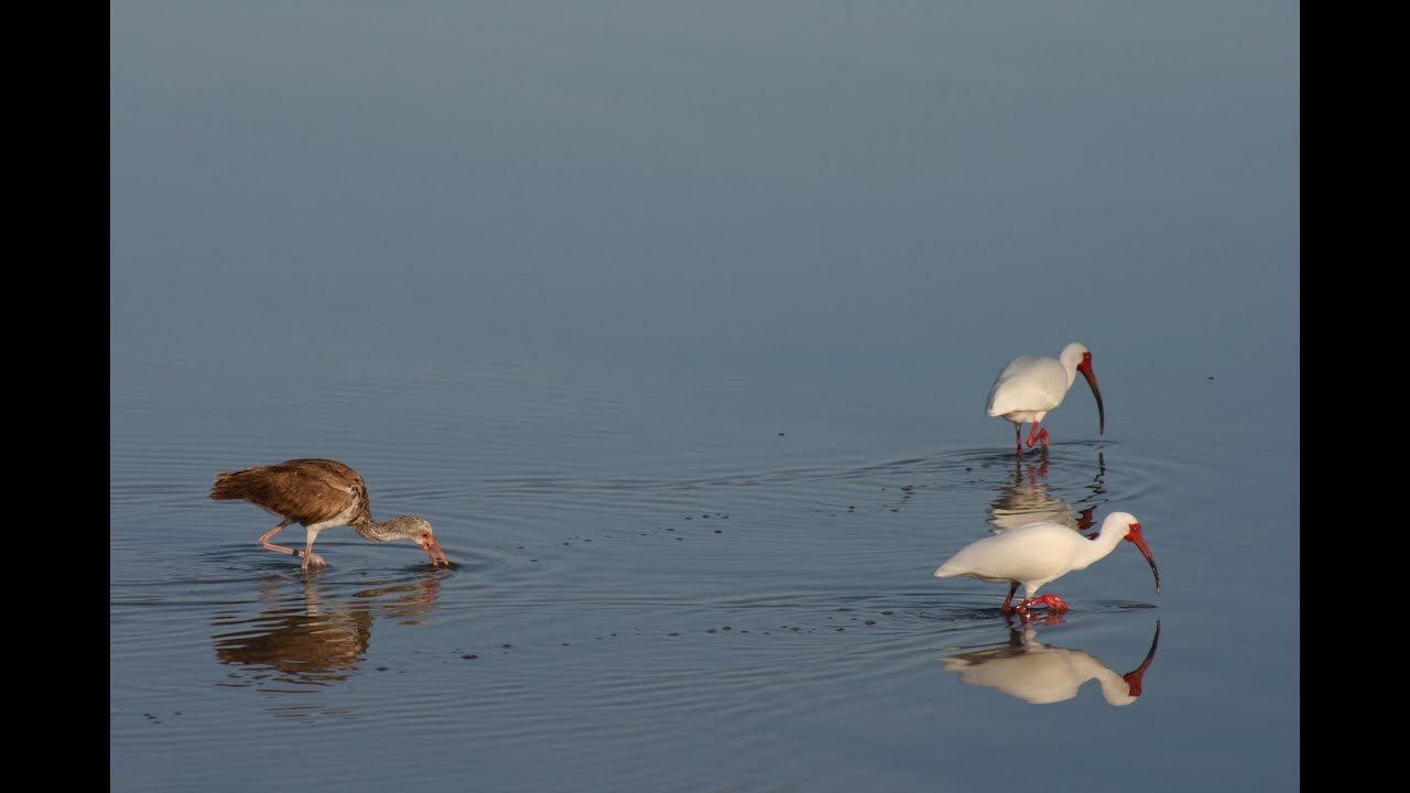 Humanity At Work Foundation  thumbnail