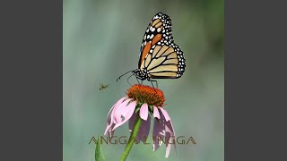 Download lagu Dj kunicer vulaes mp3 Download lagu Dj kunicer vulaes mp3