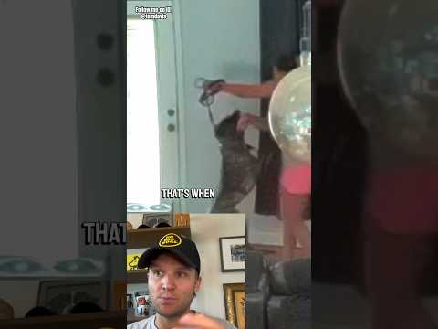 Dog ATTACKS wife protecting food! (Dog Trainer reaction)