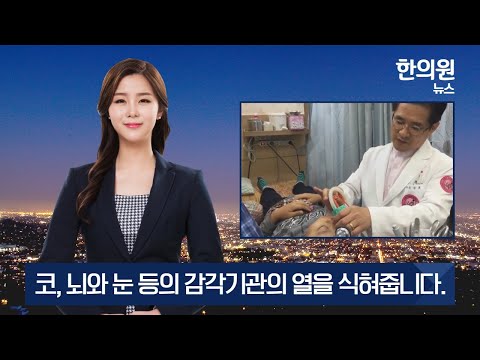 광주 비염치료 코의 중요성