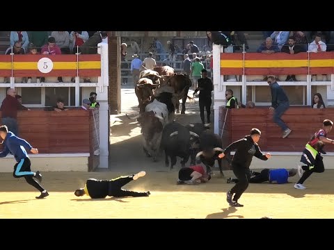 Medina 2024 Se Caen Delante de los Toros