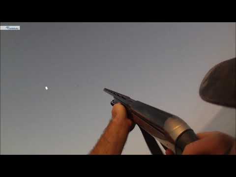 Chasse en Corse - Ouverture canards 2019