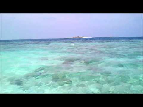 All by my self - Alto Sax