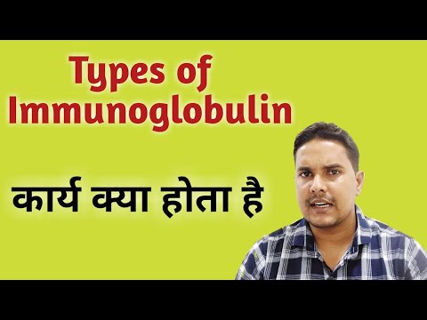 Ichor iv ig 5gm immuglo 5 gm injection, for hospital, packag...