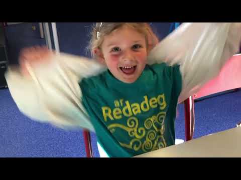 Redadeg 2022 Skol Diwan Naoned