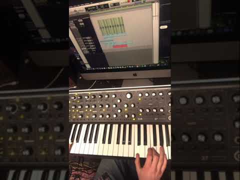 Softube Model 84 VST Funk Demo