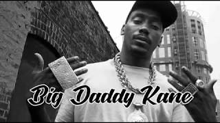 Big Daddy Kane &quot;Young Gifted and Black&quot; 1989 with Lyrics and Artist Facts