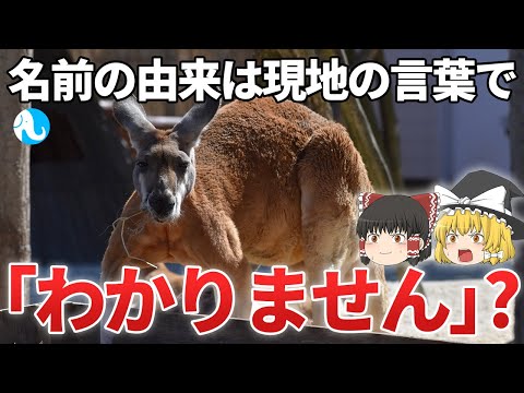 リダイレクトアイコン