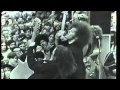 MC5 - Looking At You (Live 1970) 