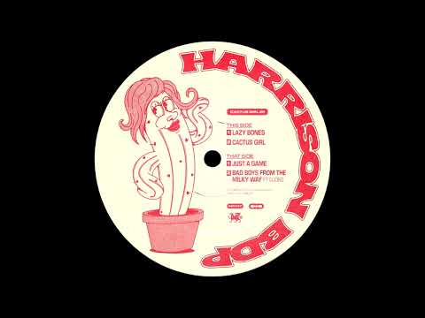 Harrison BDP & DJOKO - Bad Boys From The Milky Way [DSD037]