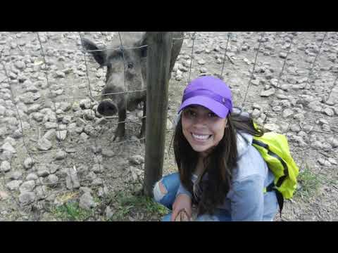 Colombia Au Pair, Ana, 23- Eu Pair Video Profile