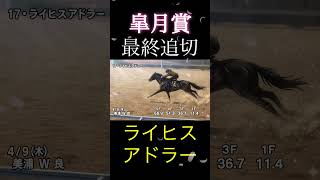 皐月賞2026 【ライヒスアドラー】最終追い切り評価　#shorts #youtubeshorts