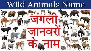 Wild Animals Hindi Eng Watch HD Mp4 Videos Download Free Wild Animals Hindi Eng Watch HD Mp4 Videos Download Free